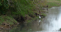 Dickinson, TX things to do