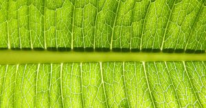 2018 Kia Niro Plug-In Hybrid | Gay Family Kia