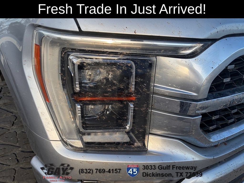 2021 Ford F-150 Platinum