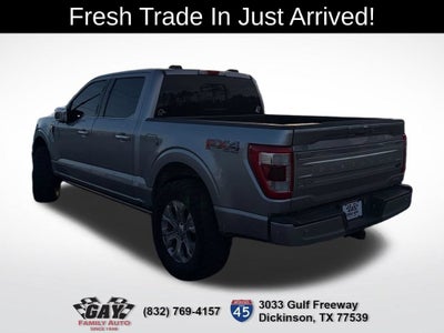 2021 Ford F-150 Platinum