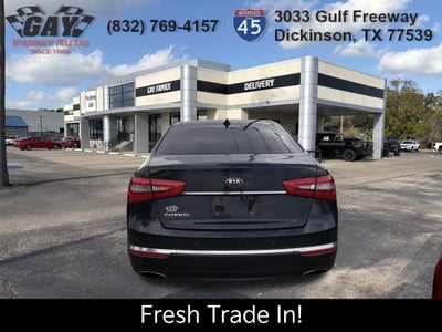 2014 Kia Cadenza Premium
