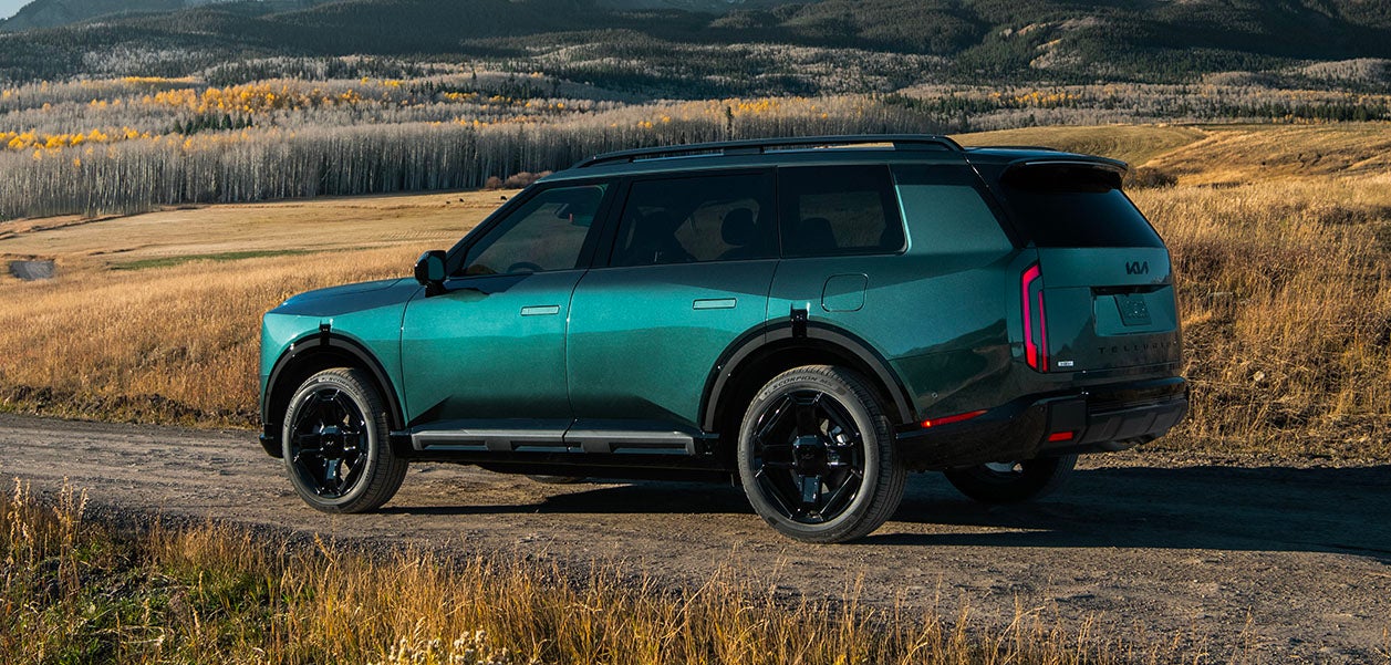 Gay Family Kia in Dickinson TX