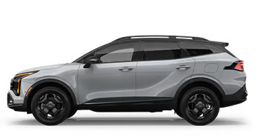 Gay Family Kia in Dickinson TX